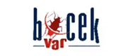 BocekVar