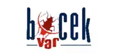 BocekVar