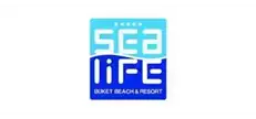 Sea Life Buket